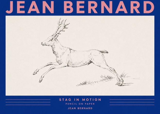 Jean Bernard Stag in Motion No3 - Juliste