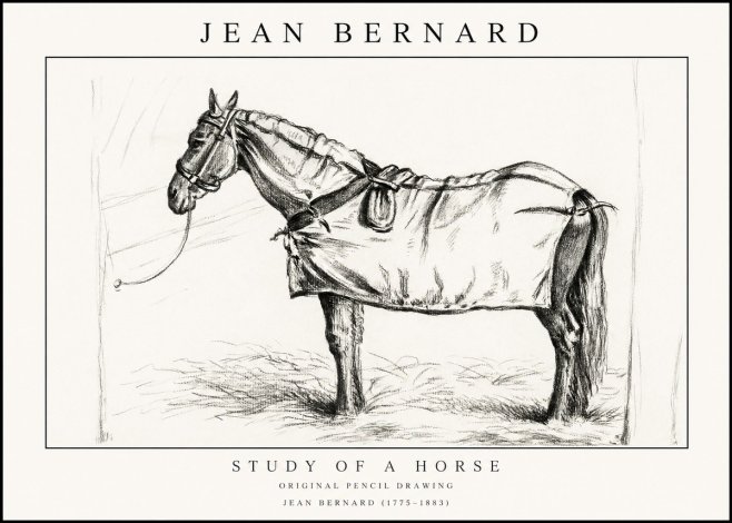 Jean Bernard Study of a Horse XI No1 - Juliste