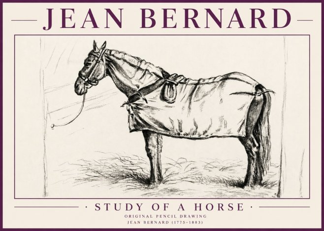 Jean Bernard Study of a Horse XI No4 - Juliste