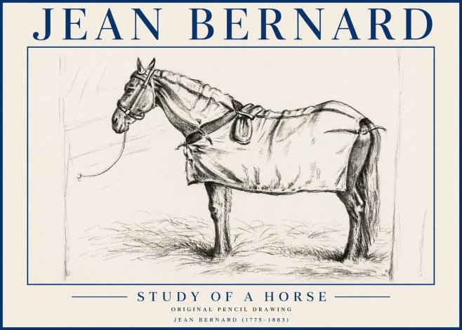 Jean Bernard Study of a Horse XI No5 - Juliste
