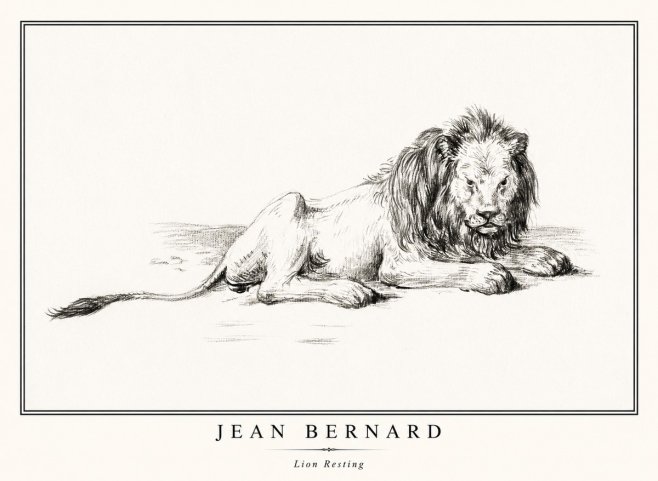 Jean Bernard Lion Resting No1 - Juliste