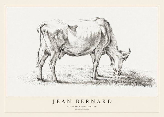 Jean Bernard Study of a Cow Grazing II No1 - Juliste