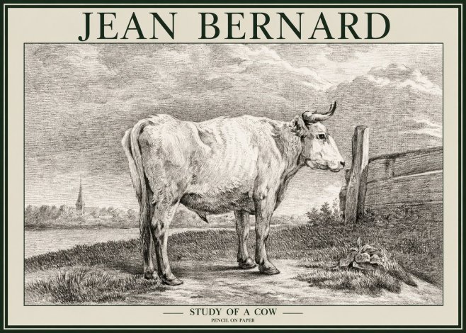 Jean Bernard Study of a Cow XV No2 - Juliste