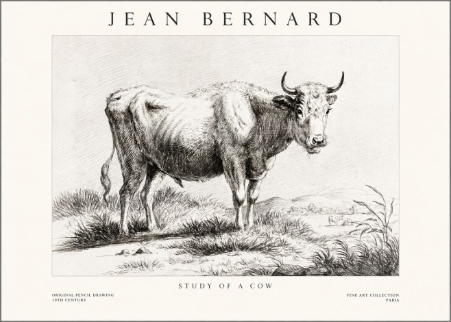 Jean Bernard Study of a Cow XVI No1 - Juliste