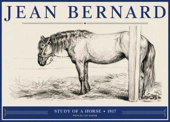 Jean Bernard Study of a Horse XII No2 - Juliste