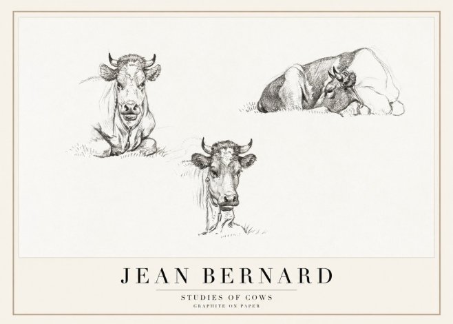 Jean Bernard Studies of Cows II No1 - Juliste