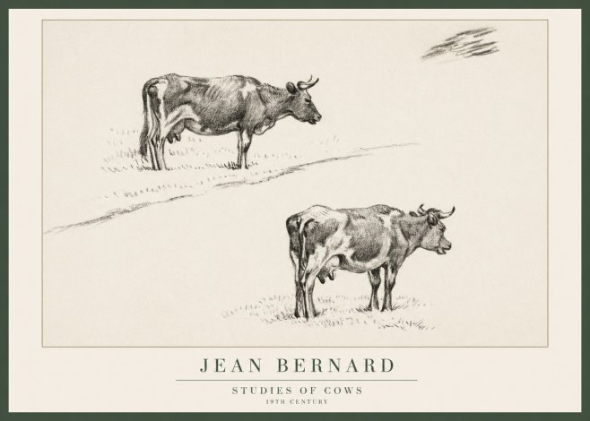 Jean Bernard Studies of Cows III No1 - Juliste