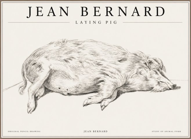 Jean Bernard Laying Pig No1 - Juliste
