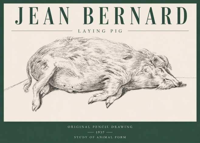 Jean Bernard Laying Pig No3 - Juliste