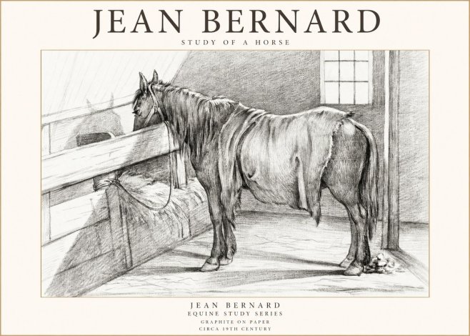 Jean Bernard Study of a Horse XIII No1 - Juliste