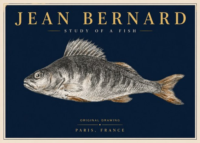 Jean Bernard Study of a Fish IV No6 - Juliste