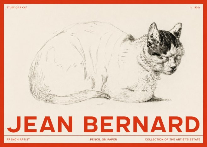 Jean Bernard Study of a Cat III No2 - Juliste