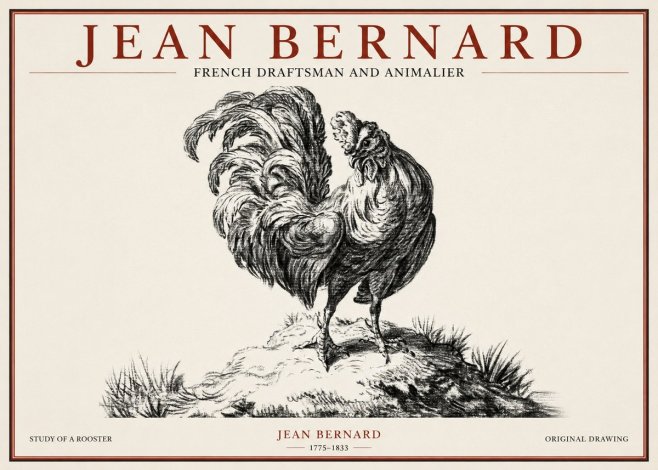 Jean Bernard Study of a Rooster No1 - Juliste