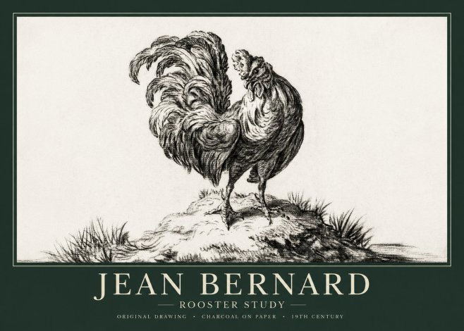 Jean Bernard Study of a Rooster No2 - Juliste