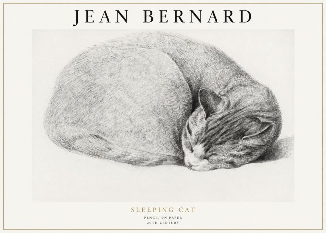 Jean Bernard Sleeping Cat IX No1 - Juliste