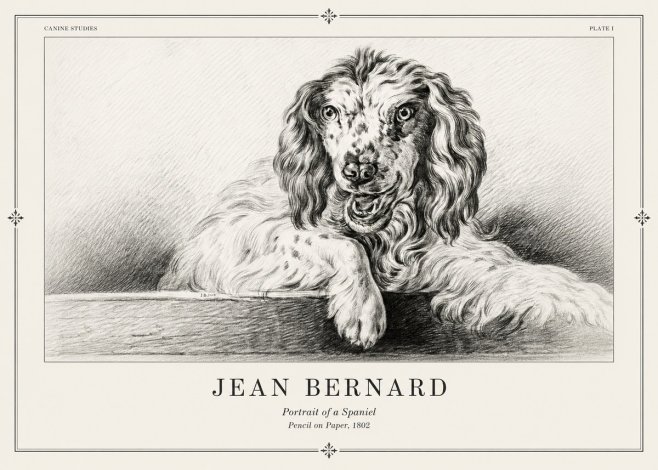 Jean Bernard Portrait of a Spaniel No2 - Juliste