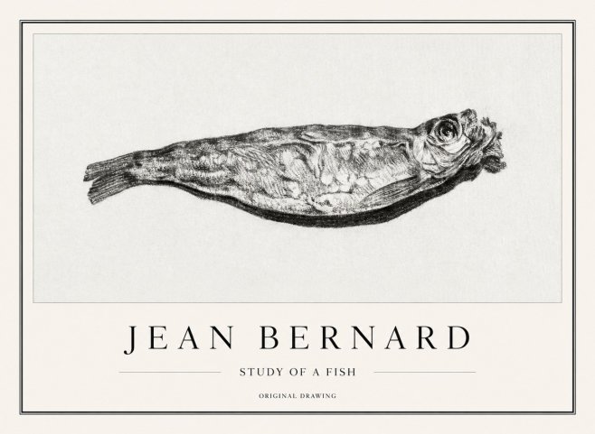 Jean Bernard Study of a Fish V No1 - Juliste