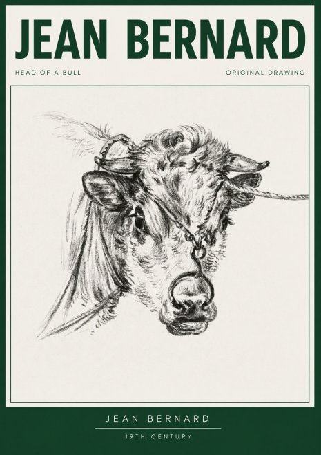 Jean Bernard Head of a Bull No3 - Juliste