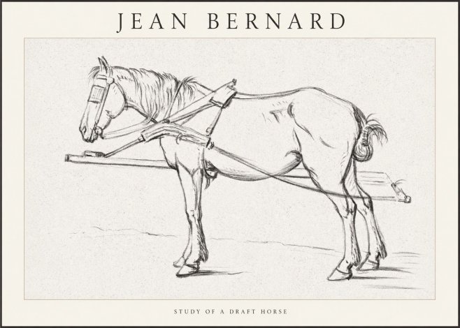 Jean Bernard Study of a Draft Horse II No1 - Juliste