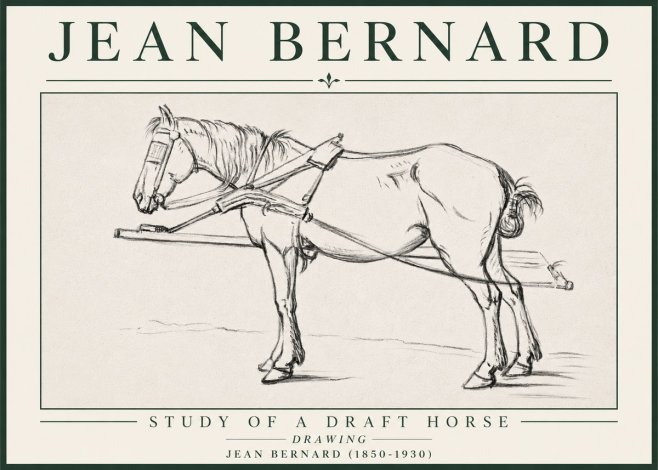 Jean Bernard Study of a Draft Horse II No4 - Juliste