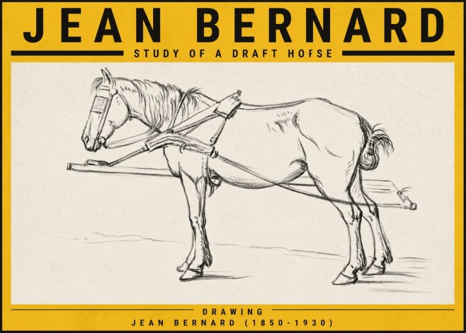 Jean Bernard Study of a Draft Horse II No5 - Juliste