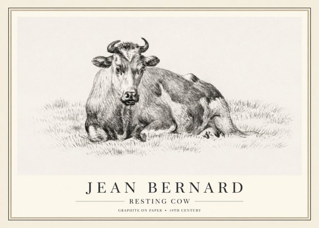 Jean Bernard Resting Cow V No1 - Juliste