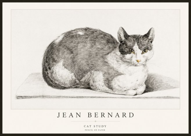 Jean Bernard Cat Study XI No2 - Juliste