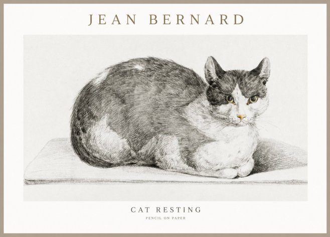 Jean Bernard Cat Study XI No3 - Juliste