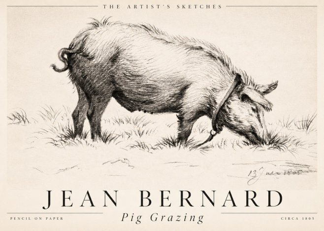 Jean Bernard Pig Grazing No2 - Juliste