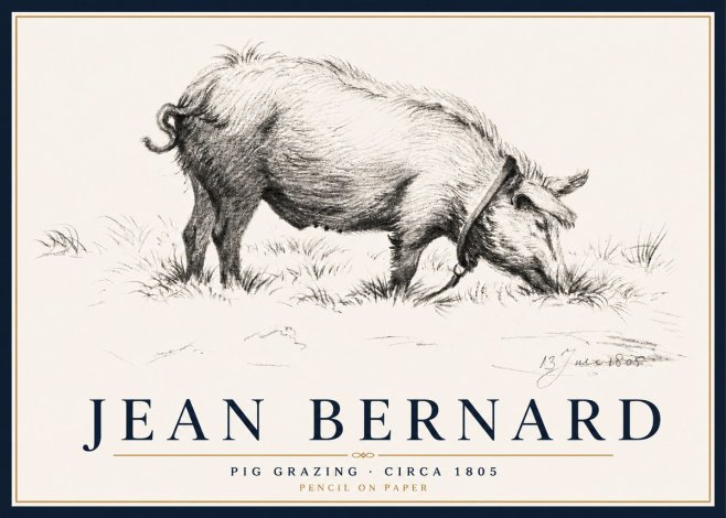 Jean Bernard Pig Grazing No5 - Juliste