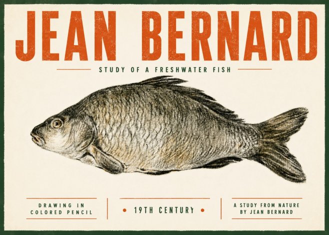 Jean Bernard Study of a Freshwater Fish No5 - Juliste