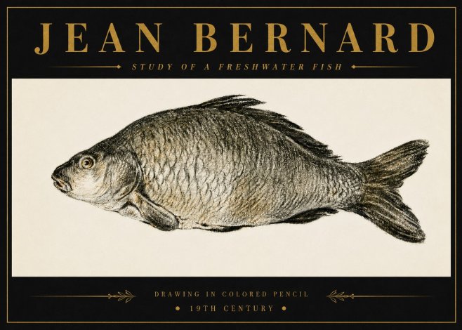Jean Bernard Study of a Freshwater Fish No6 - Juliste