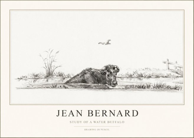 Jean Bernard Study of a Water Buffalo No1 - Juliste