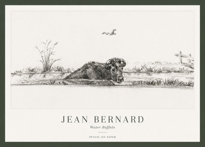 Jean Bernard Study of a Water Buffalo No2 - Juliste