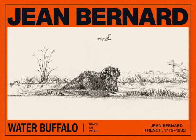 Jean Bernard Study of a Water Buffalo No3 - Juliste