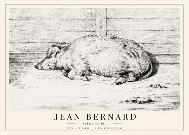 Jean Bernard Sleeping Pig I No1 - Juliste