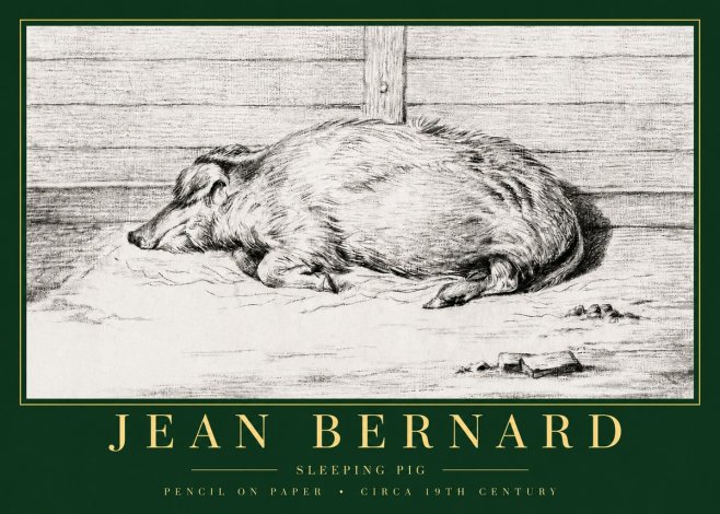 Jean Bernard Sleeping Pig I No3 - Juliste