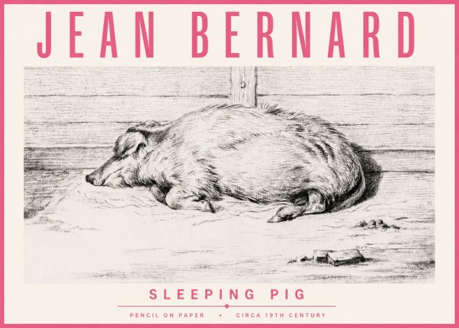 Jean Bernard Sleeping Pig I No4 - Juliste