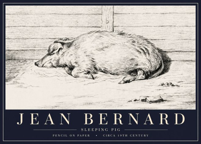 Jean Bernard Sleeping Pig I No6 - Juliste