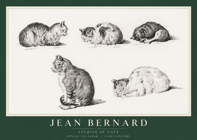 Jean Bernard Studies of Cats No1 - Juliste
