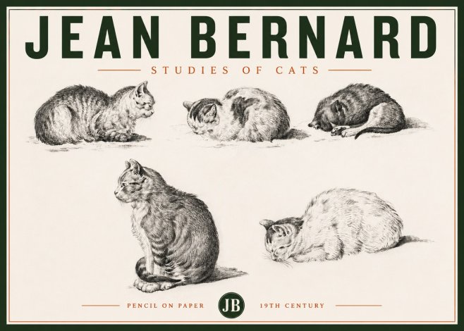 Jean Bernard Studies of Cats No4 - Juliste