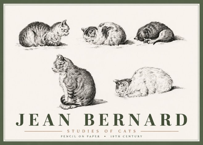 Jean Bernard Studies of Cats No6 - Juliste