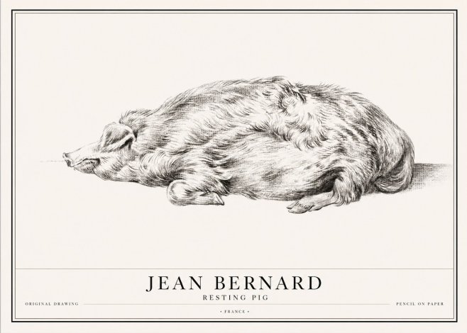Jean Bernard Resting Pig II No1 - Juliste