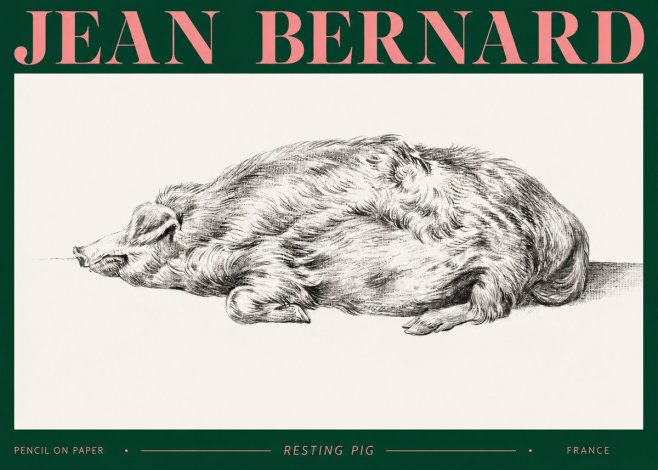 Jean Bernard Resting Pig II No2 - Juliste
