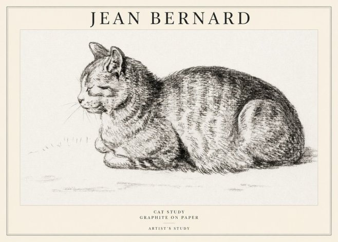 Jean Bernard Cat Study XII No1 - Juliste