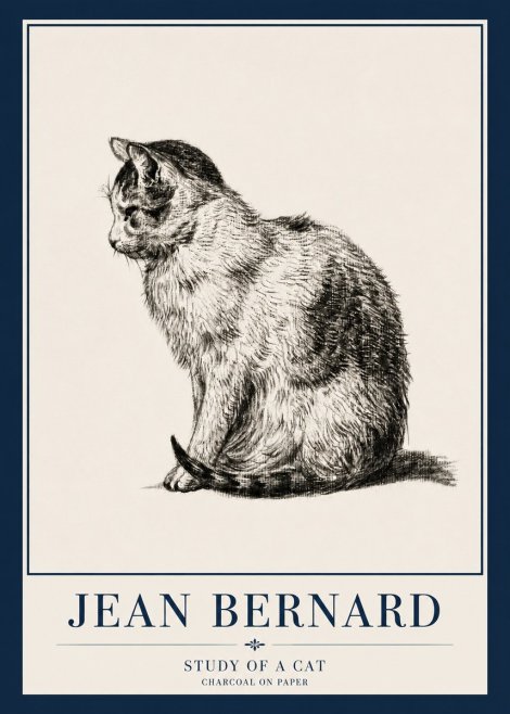 Jean Bernard Study of a Cat IV No3 - Juliste