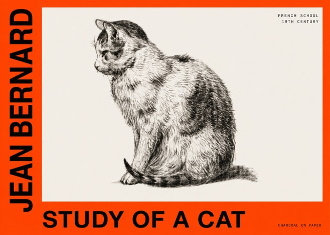 Jean Bernard Study of a Cat IV No6 - Juliste