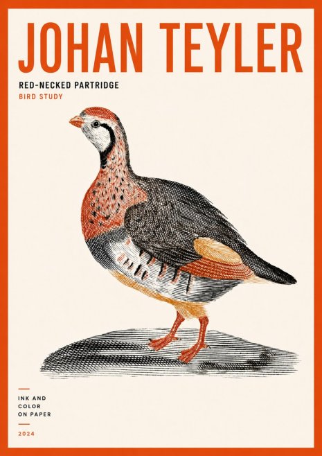 Johan Teyler Red-necked Partridge No5 - Juliste