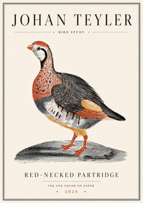 Johan Teyler Red-necked Partridge No6 - Juliste