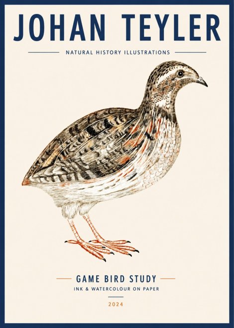 Johan Teyler Game Bird Study No3 - Juliste